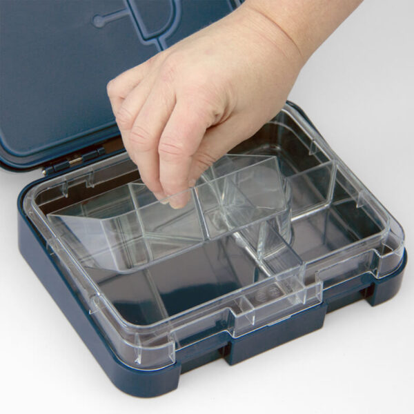 Leak Proof Bento Lunch Box - Cash's