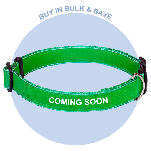 personalised dog collars australian made Cash's