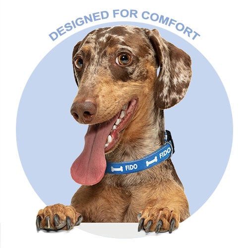 Dog collar personalised by Cash's
