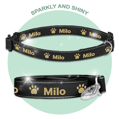 Dog packs in Sparkle comprise of Dog collar and dog lead