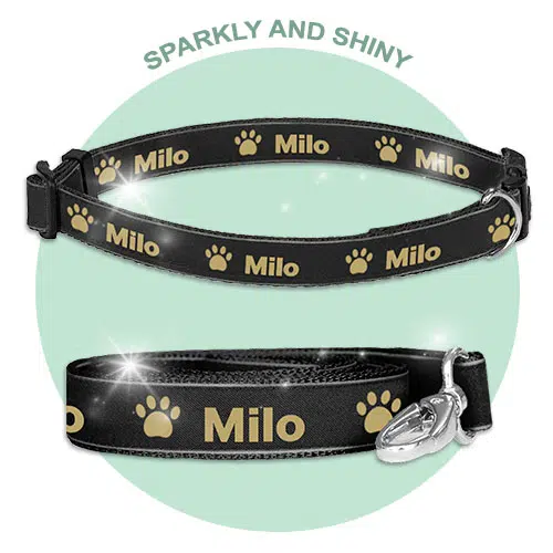 personalised Dog collar and dog lead