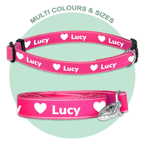 Dog Pack comprising of matching dog lead and dog collar