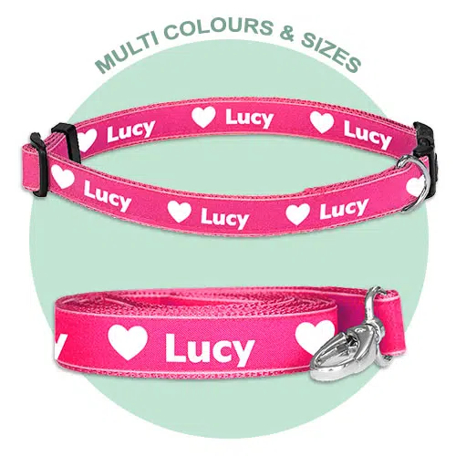 custom dog collar