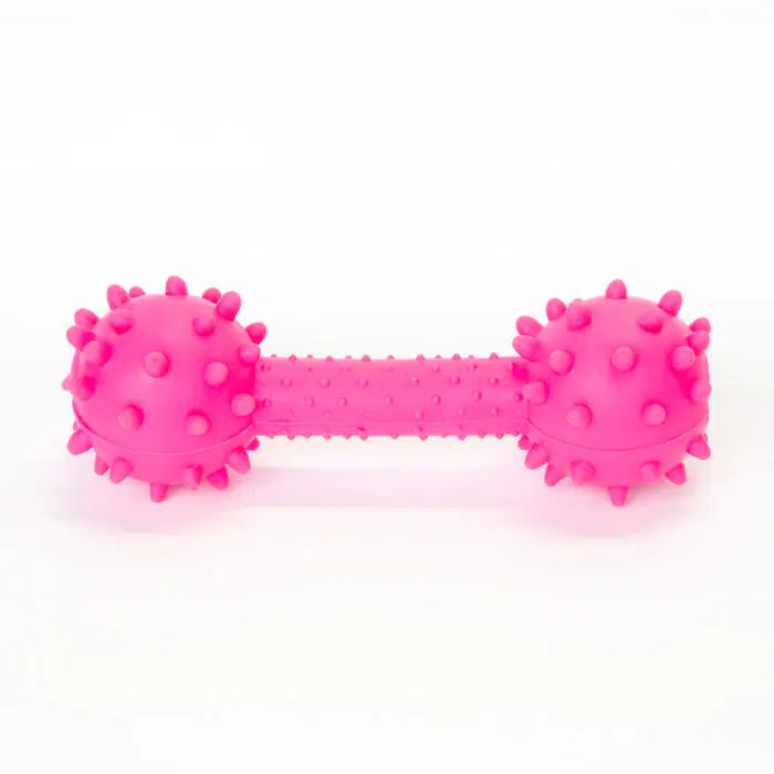 Dog Bone Toy - Image 3