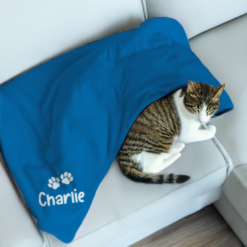 Cat blanket for couch | Cash's