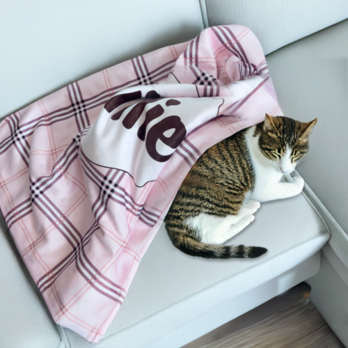 Cat blanket for couch | Cash's