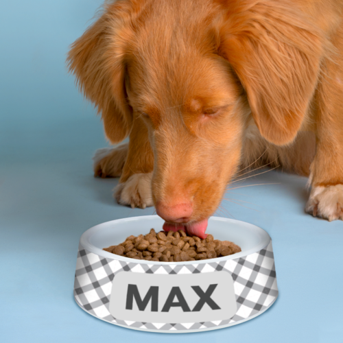Personalised Dog Bowls | Cash's