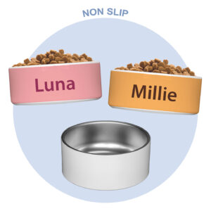 personalised dog bowls