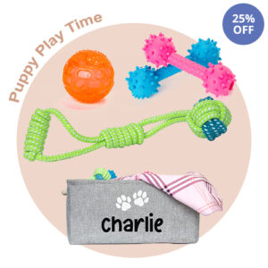 Personalised dog toys value pack