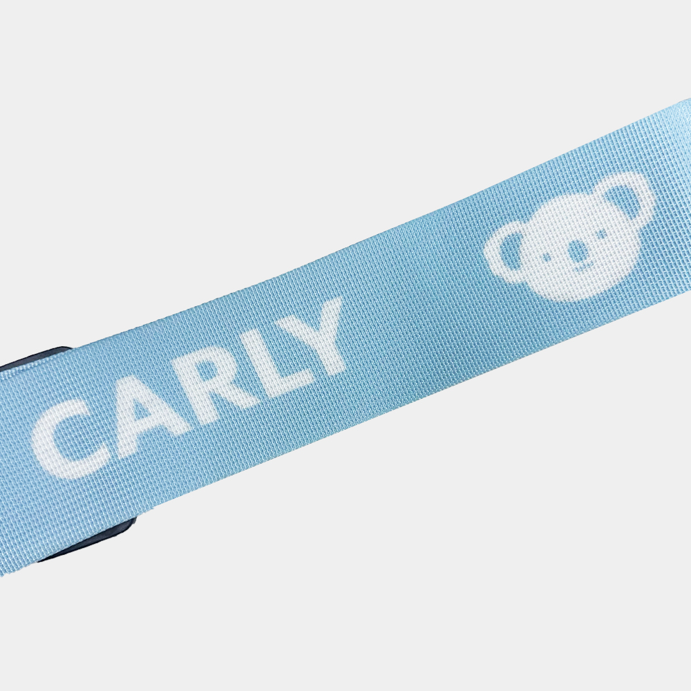 Luggage Strap