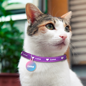Cat Tags Pattern