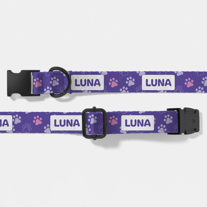 Designer Dog Collar