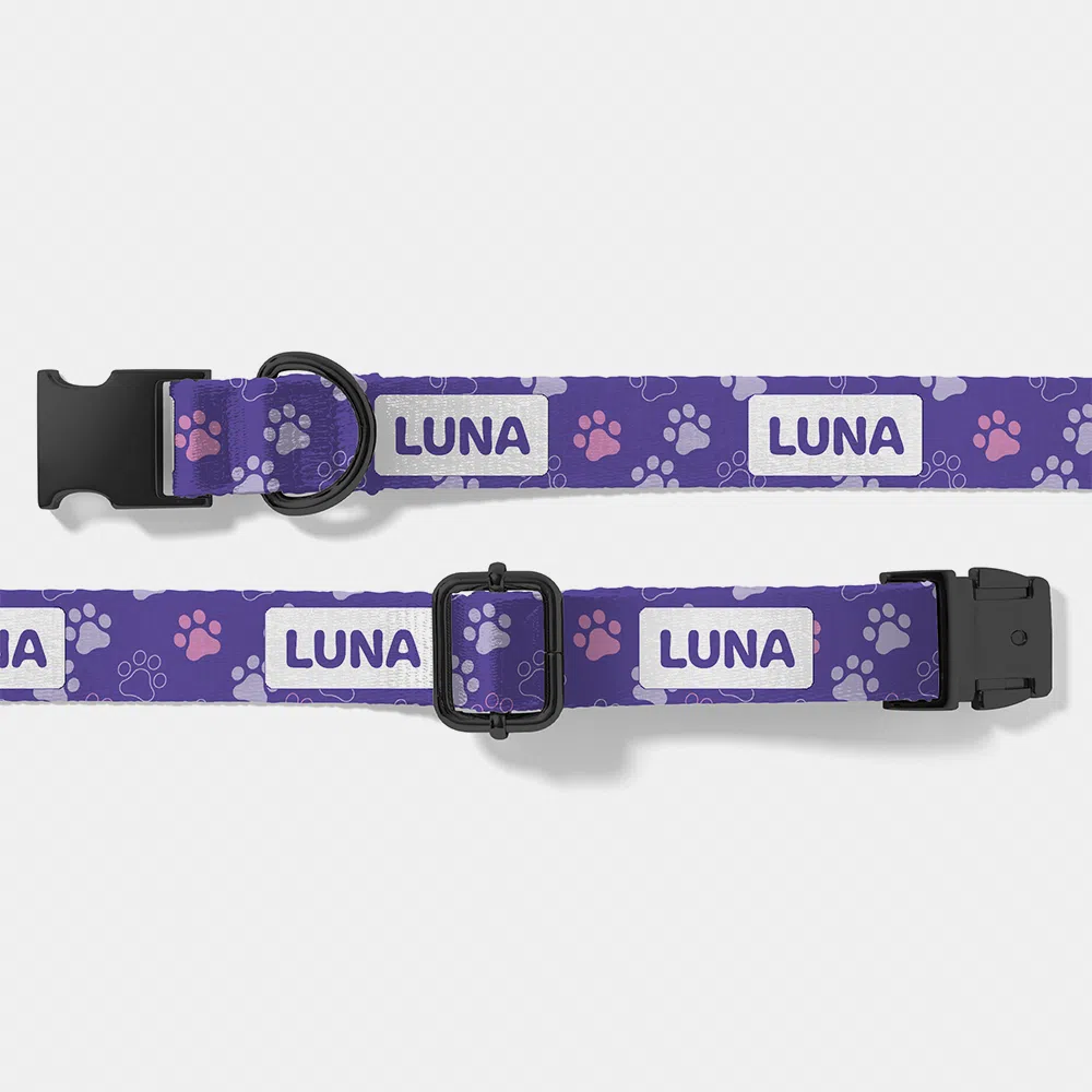 dog collars