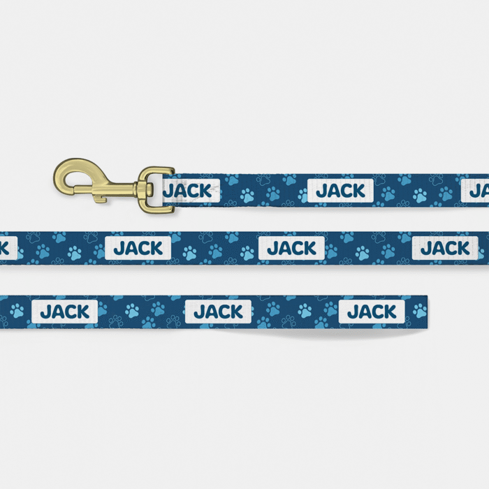 Designer Dog Lead