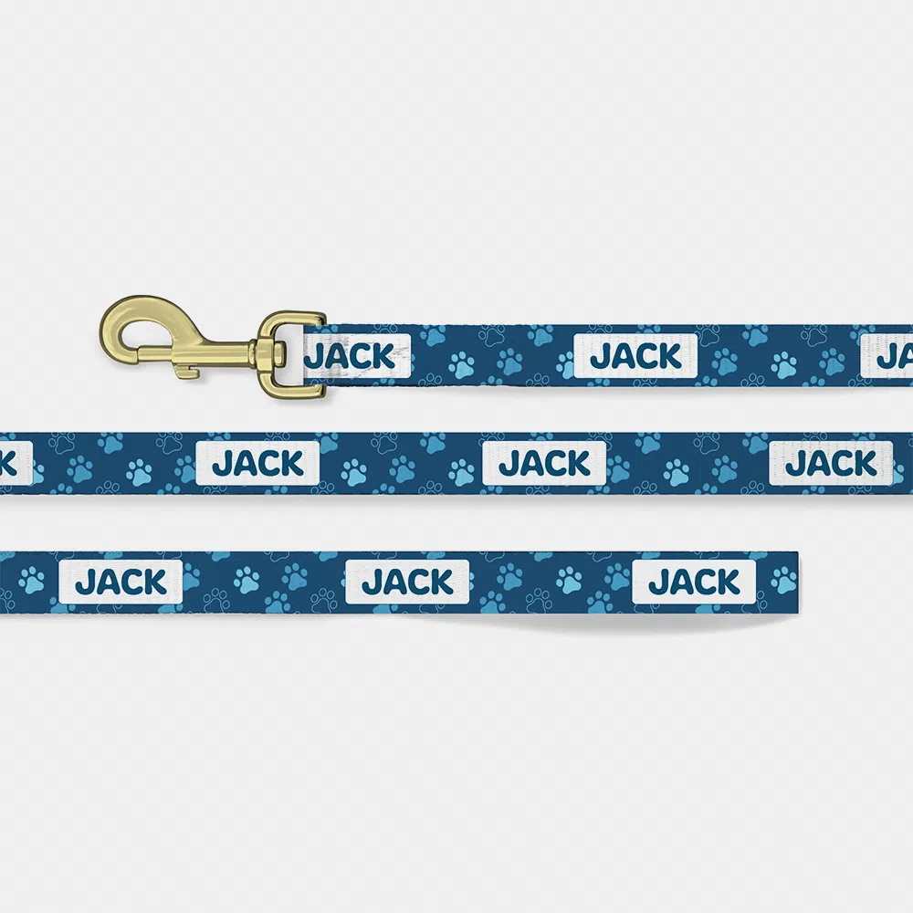 dog leash