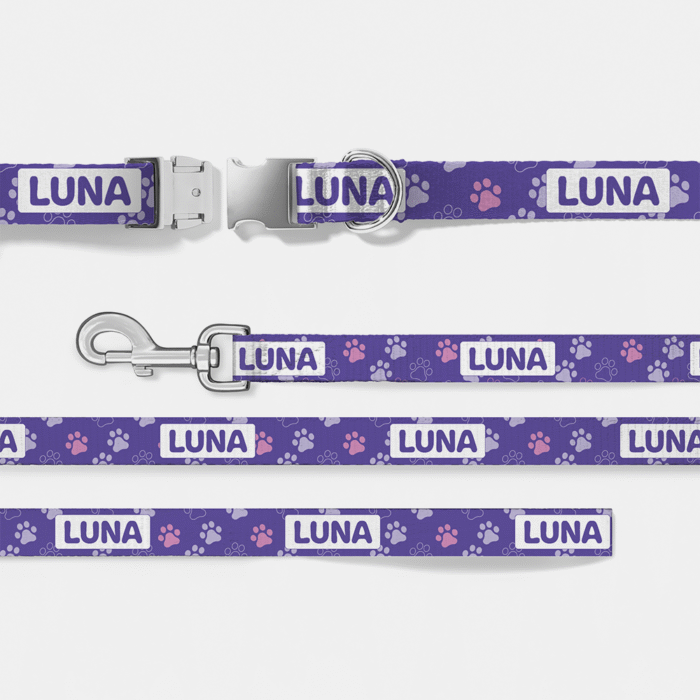 Designer Dog Set