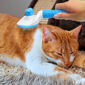 Grooming Brush
