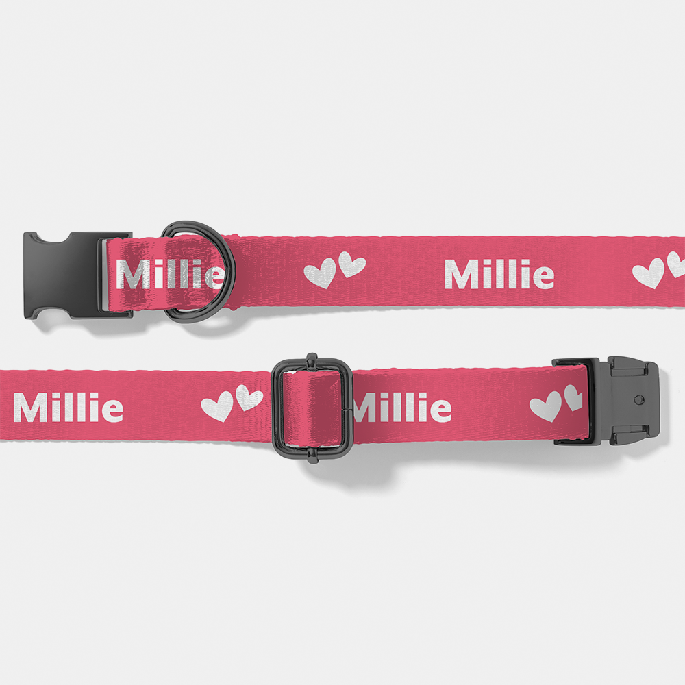 Personalised Dog Collar