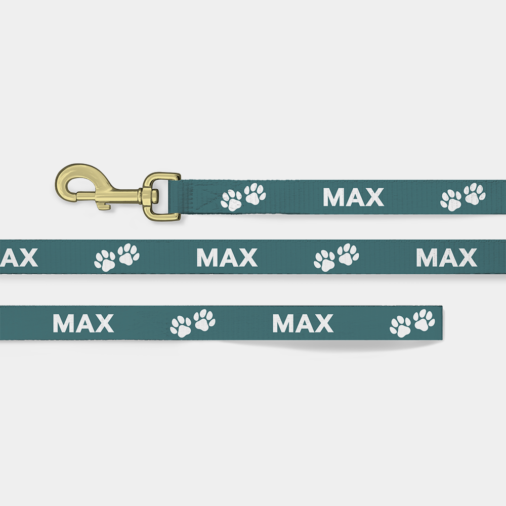 Personalised Dog Lead