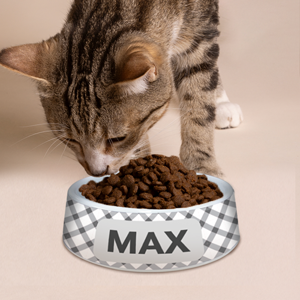 Cat Bowl Pattern