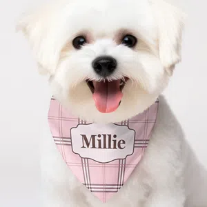 Dog Scarf Pattern