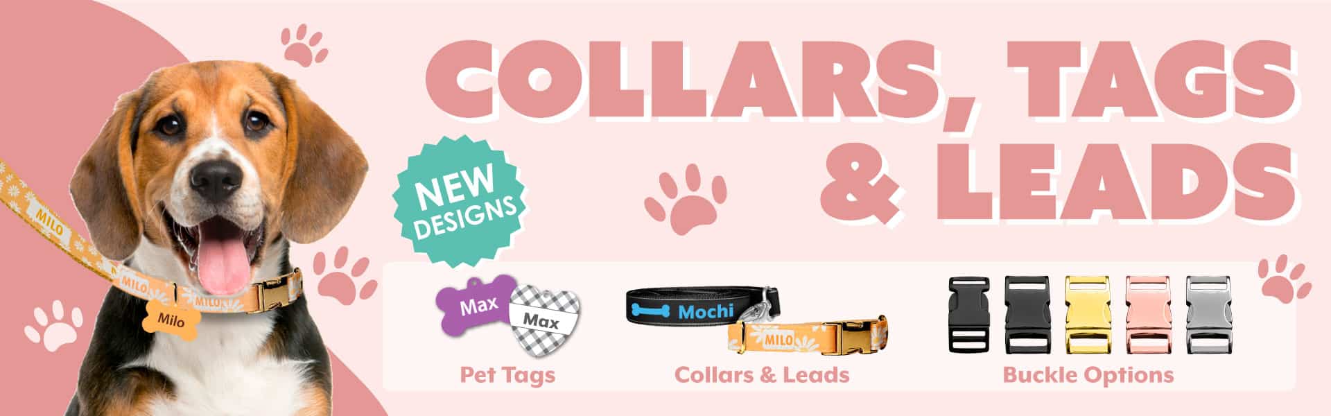 Dog Collar and Lead